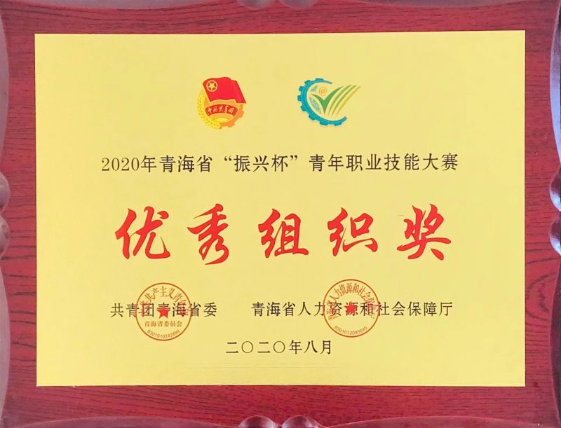 2020年8月青海省“振興杯”青年職業技能大賽優秀組織獎